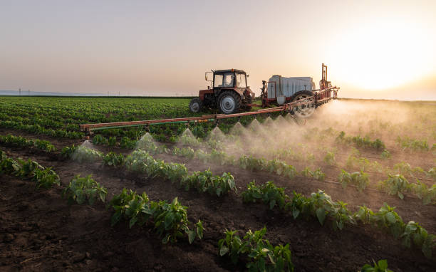 Best Pest Control for Businesses  in Ellinwood, KS