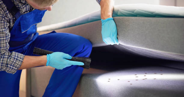 Professional Pest Control in Ellinwood, KS