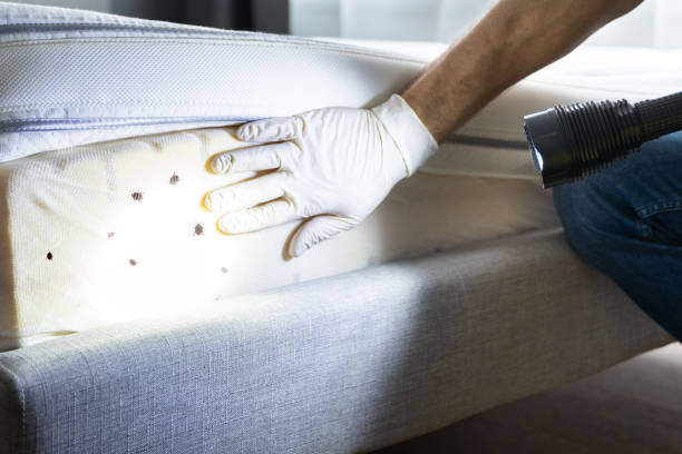 Best Commercial Pest Control Services  in Ellinwood, KS