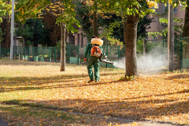 Best Flea Control Services  in Ellinwood, KS