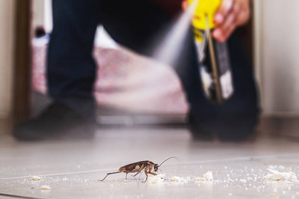  Ellinwood, KS Pest Control Pros