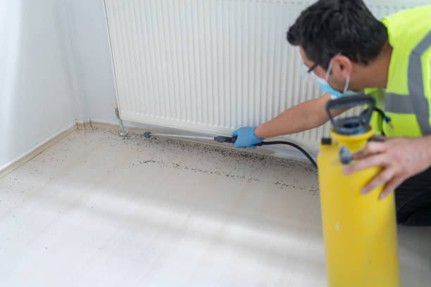 Best Bed Bug Extermination  in Ellinwood, KS